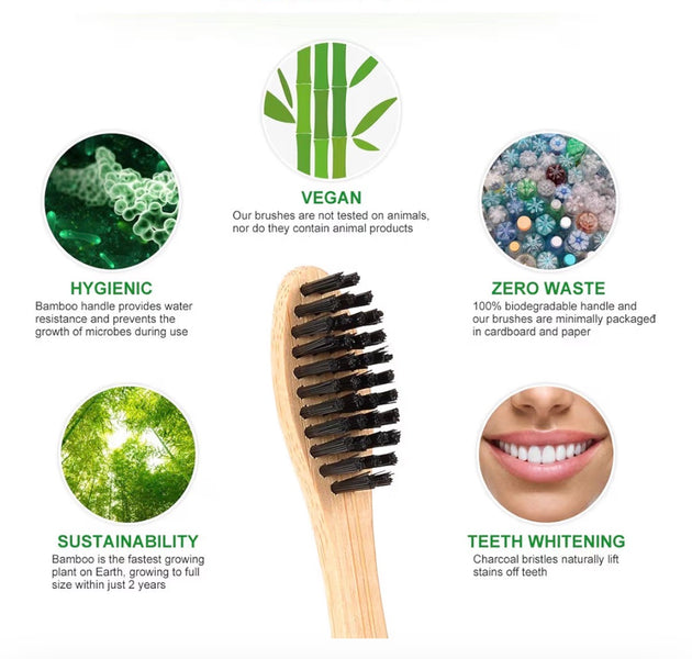 Luxvaa Bamboo Toothbrush – 10 Pack | Eco-Friendly Soft Bristles