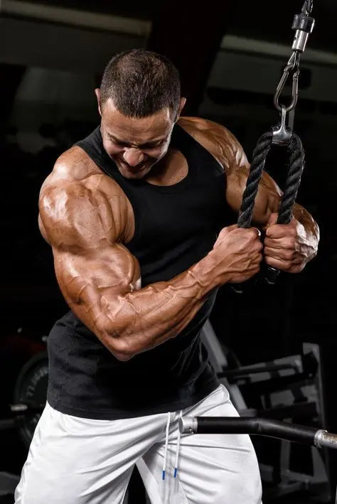 A bodybuilder working out with weights illustrating how LUXVAA Nitric Oxide Booster 90 Ct supports muscle growth and exercise performance through improved blood circulation. A top health supplement and Nitric Oxide supplement.